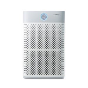 Air purifier Giant model